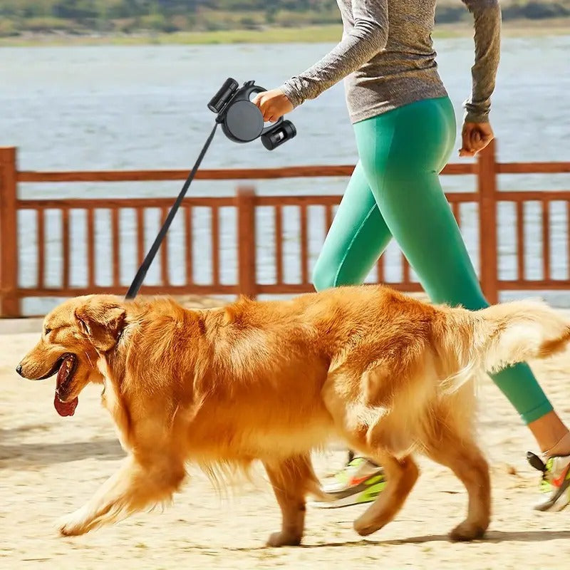 Dog Leash