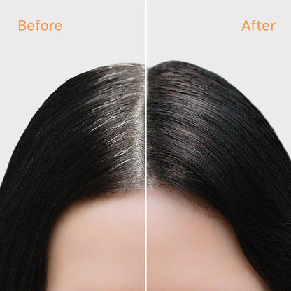 Hair Shading Powder