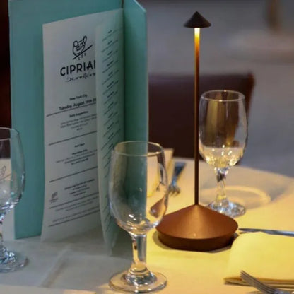 Rechargeable Cordless Table Lamp