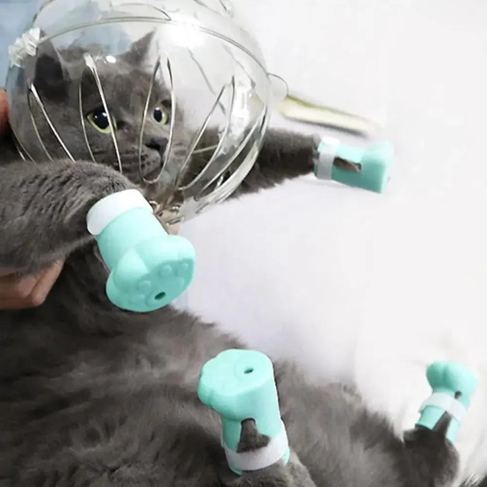 Cat Muzzle Boots Set